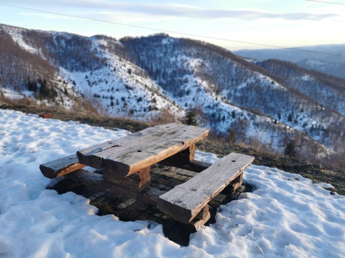 Sunset View Ski & Spa Apartments Kopaonik Ngoại thất bức ảnh